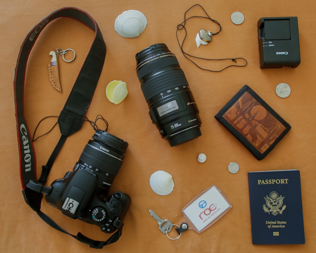 Cámara ideal para viajar: ¿mirrorless o réflex? (palabras clave)