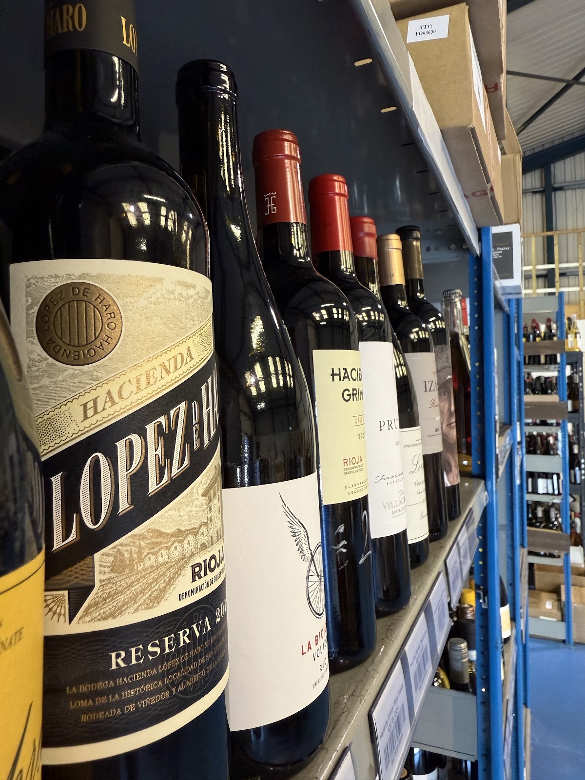 So wählst du die richtige Weinreise im Herbst