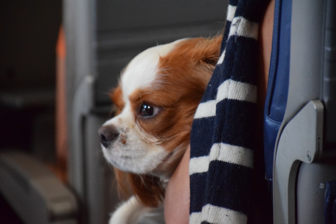 Planejamento inteligente: o calendário que evita dores de cabeça