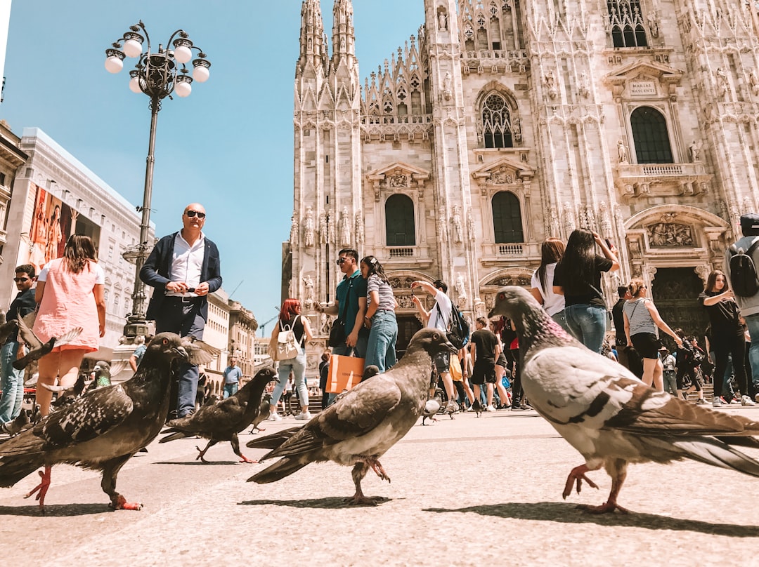 Dove funziona davvero e dove no