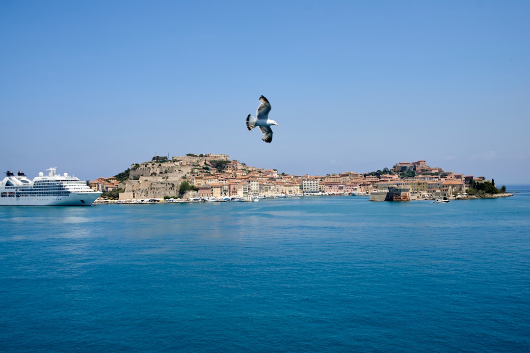 Pricing fly-cruise: dove si forma o si perde margine