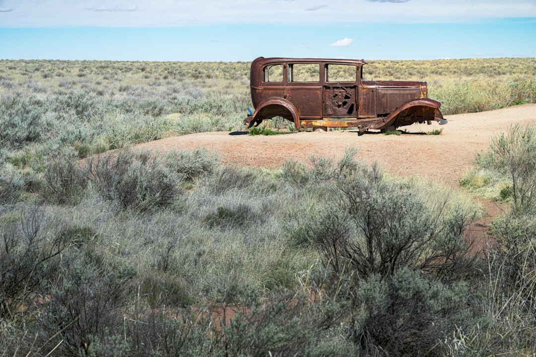 Zombie Road Trip 2026: itinerario, bagagli, budget e sicurezza