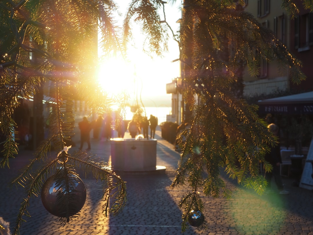 2026年12月はどこへ旅行する？旅スタイル別ベスト行き先