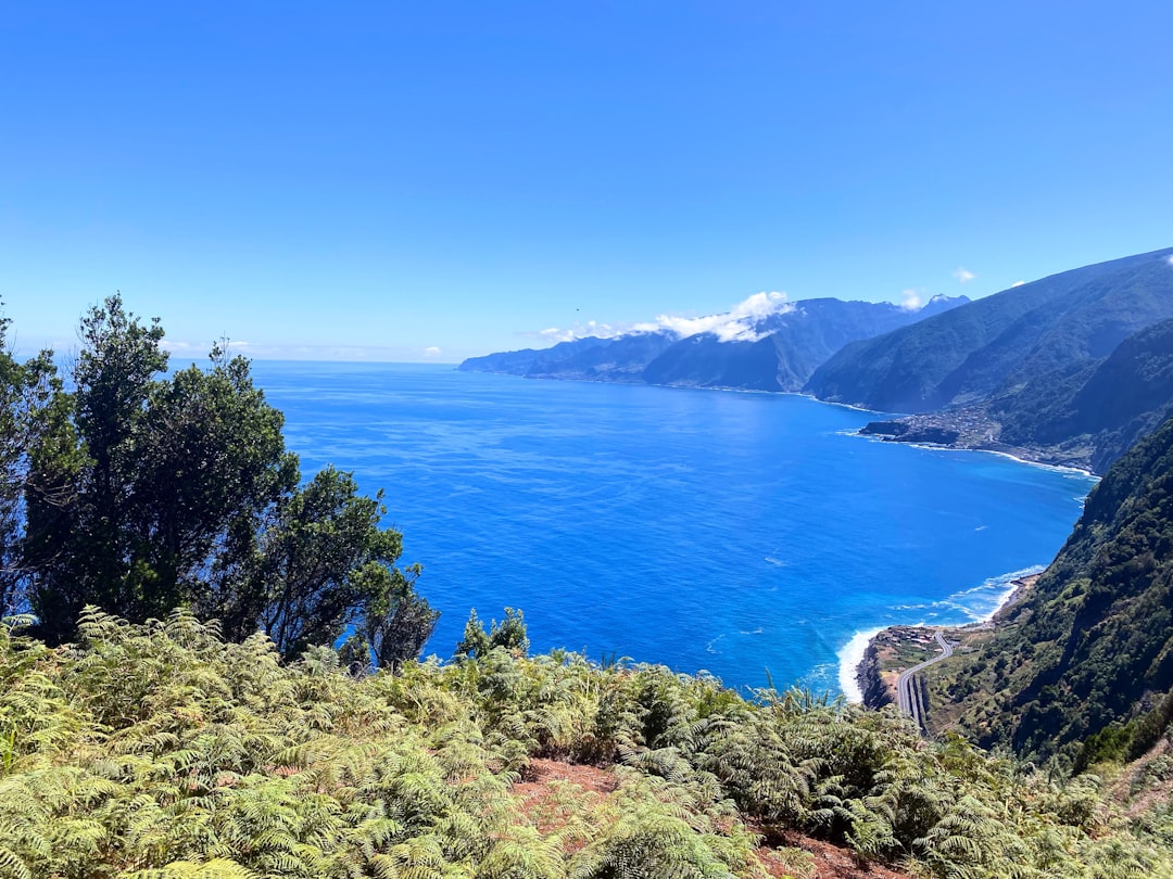 5 Days in Madeira in 2026: Cliffs, Levada Walks, Wine