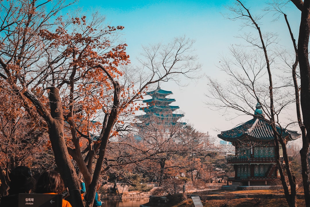 Come arrivare a Seoul
