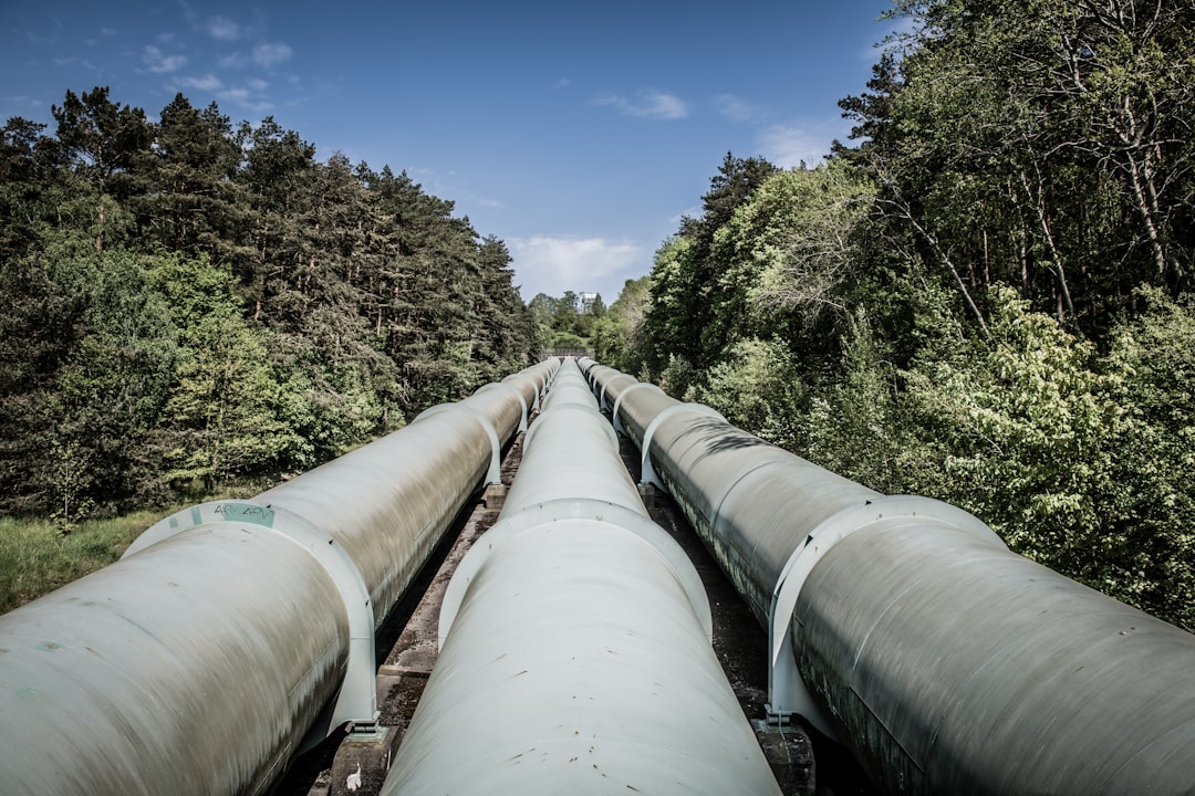 Aperture anticipate: dalla vetrina alla pipeline