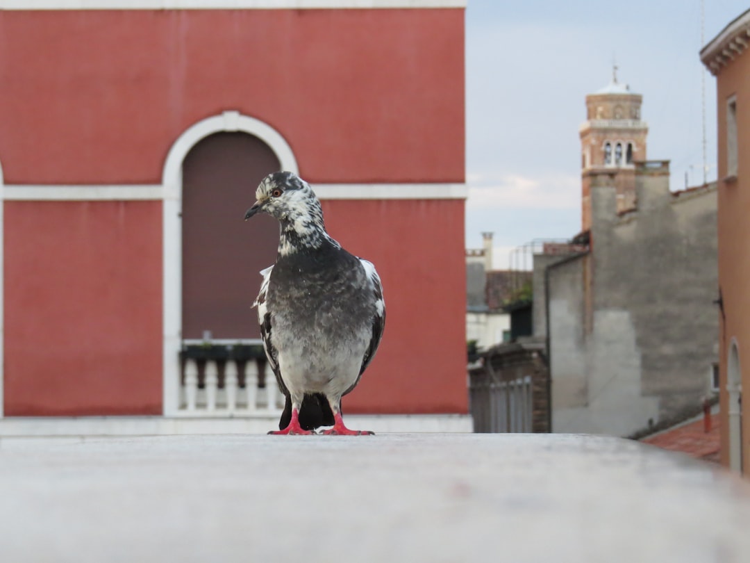 Dove si perde margine dopo la conferma