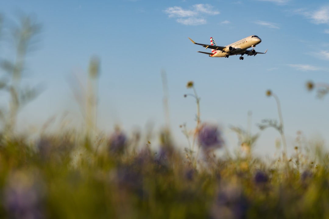 Por que este guia importa agora