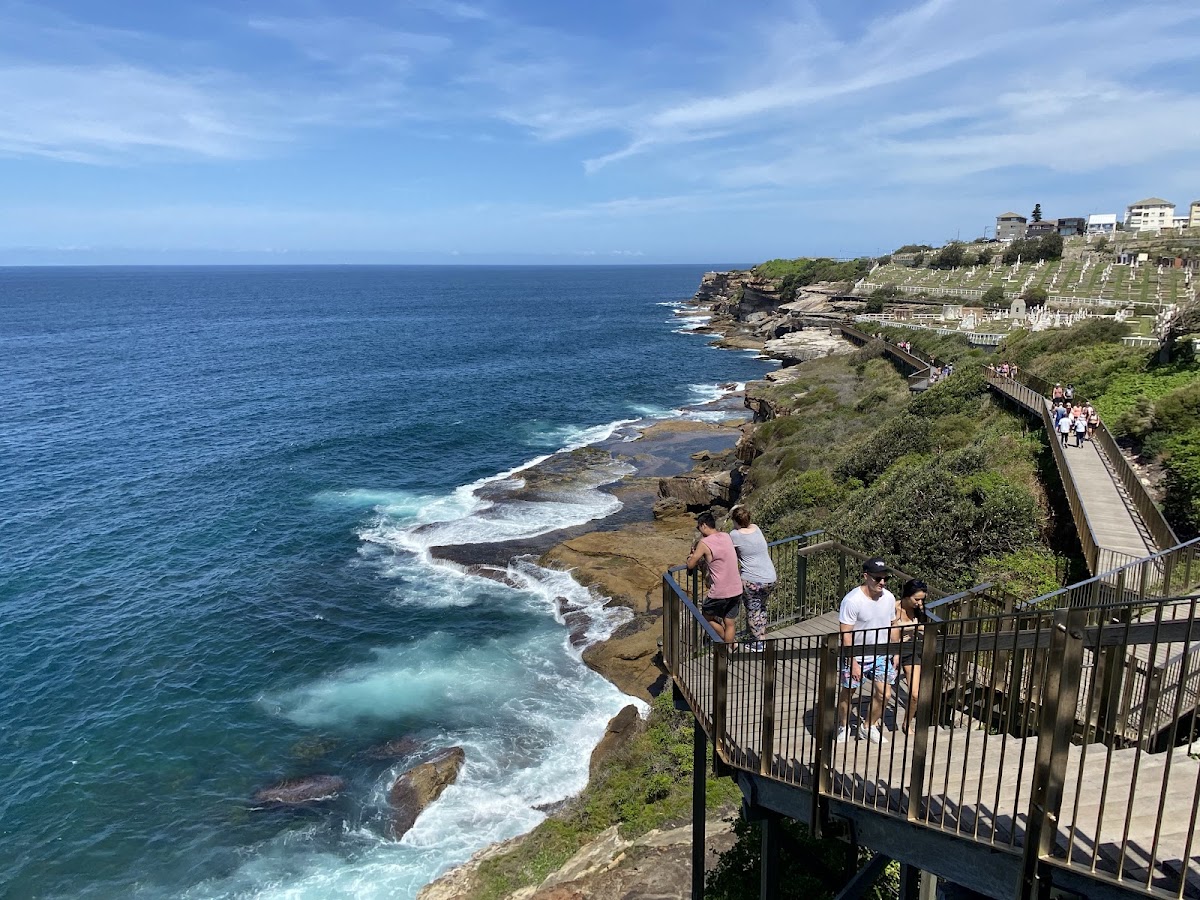 2. Gün: Bondi'den Coogee'ye, Kaya Havuzları ve Sörf Semtleri