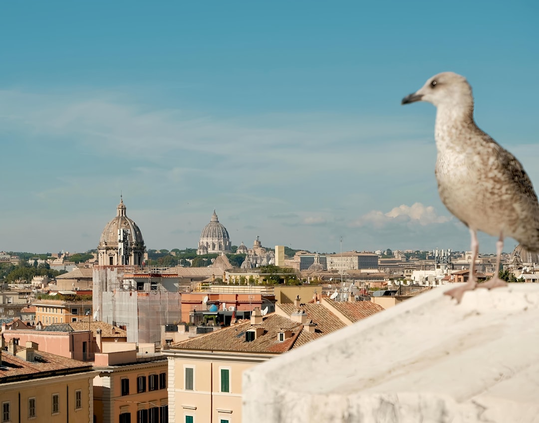 Pricing: dove si crea margine e dove si perde