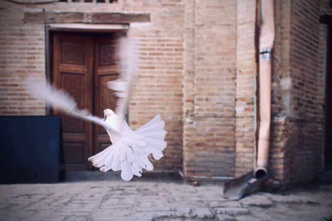 Dove si rompe il flusso ogni giorno