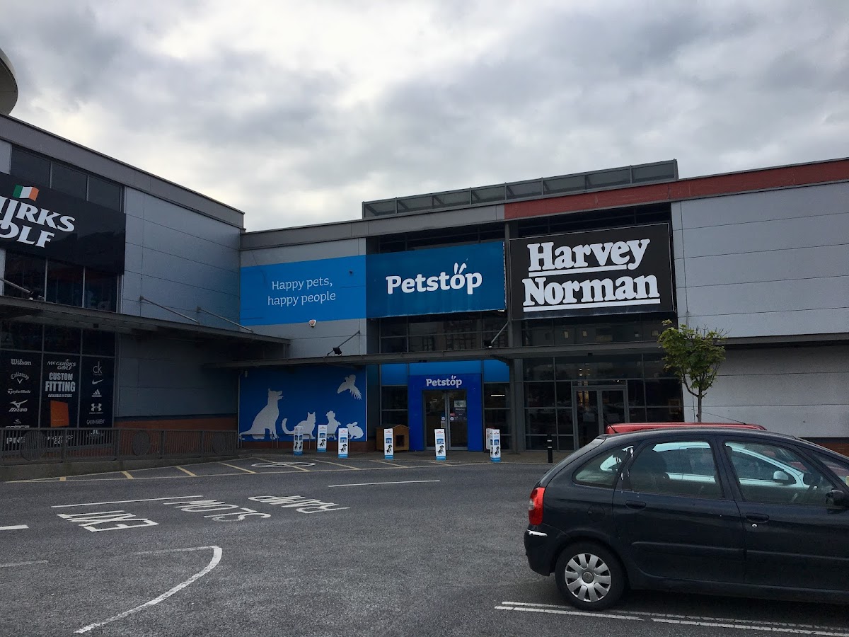 Como viajar com pets em 2026: guia completo sem perrengue