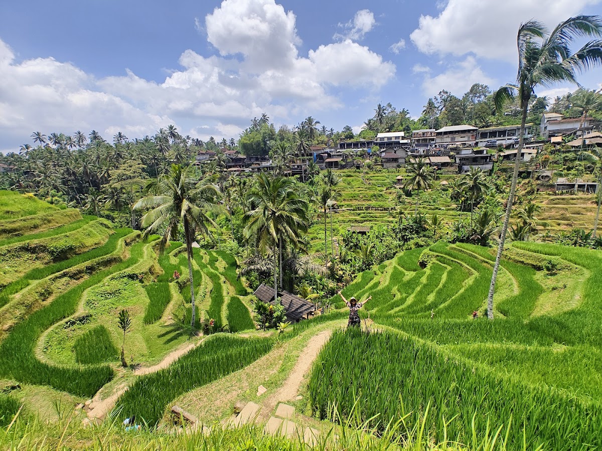 Day 1: Ubud soft landing and an easy first evening