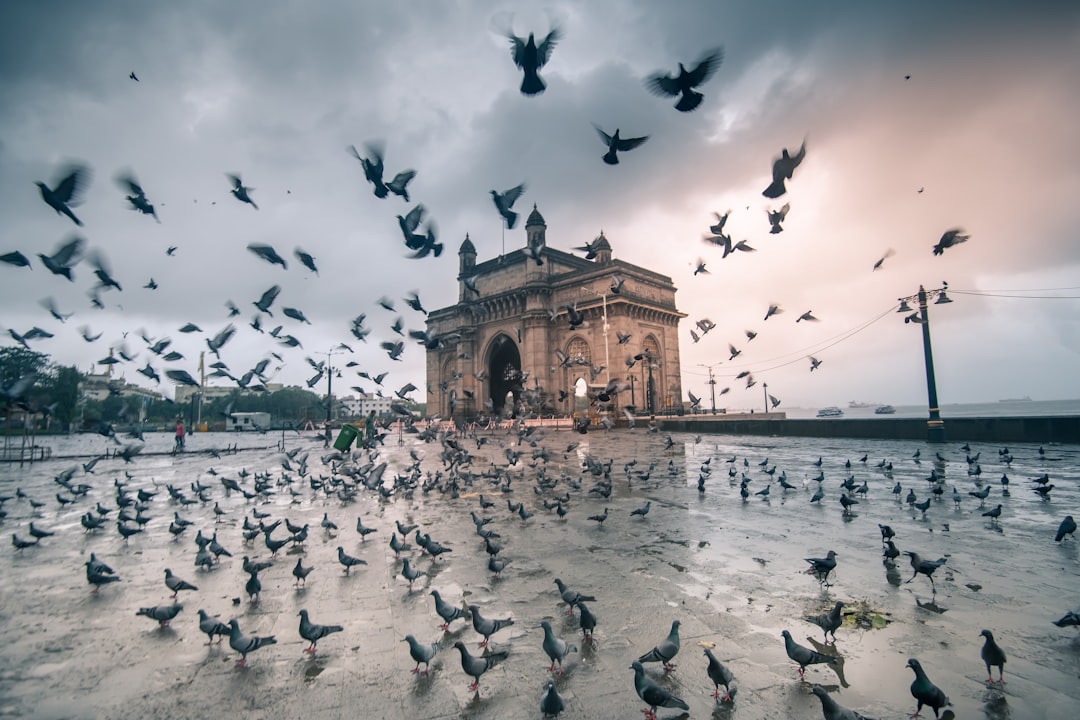 Periodo migliore per visitare l'India in base alla stagione